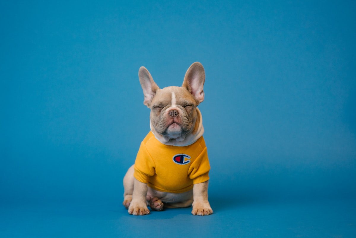 Landing Page Pet Shop